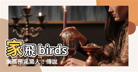 家中 飛 來 鳥|【家裡飛來鳥】家裡飛來吉祥鳥？鳥類進家預示什麼吉凶福禍？